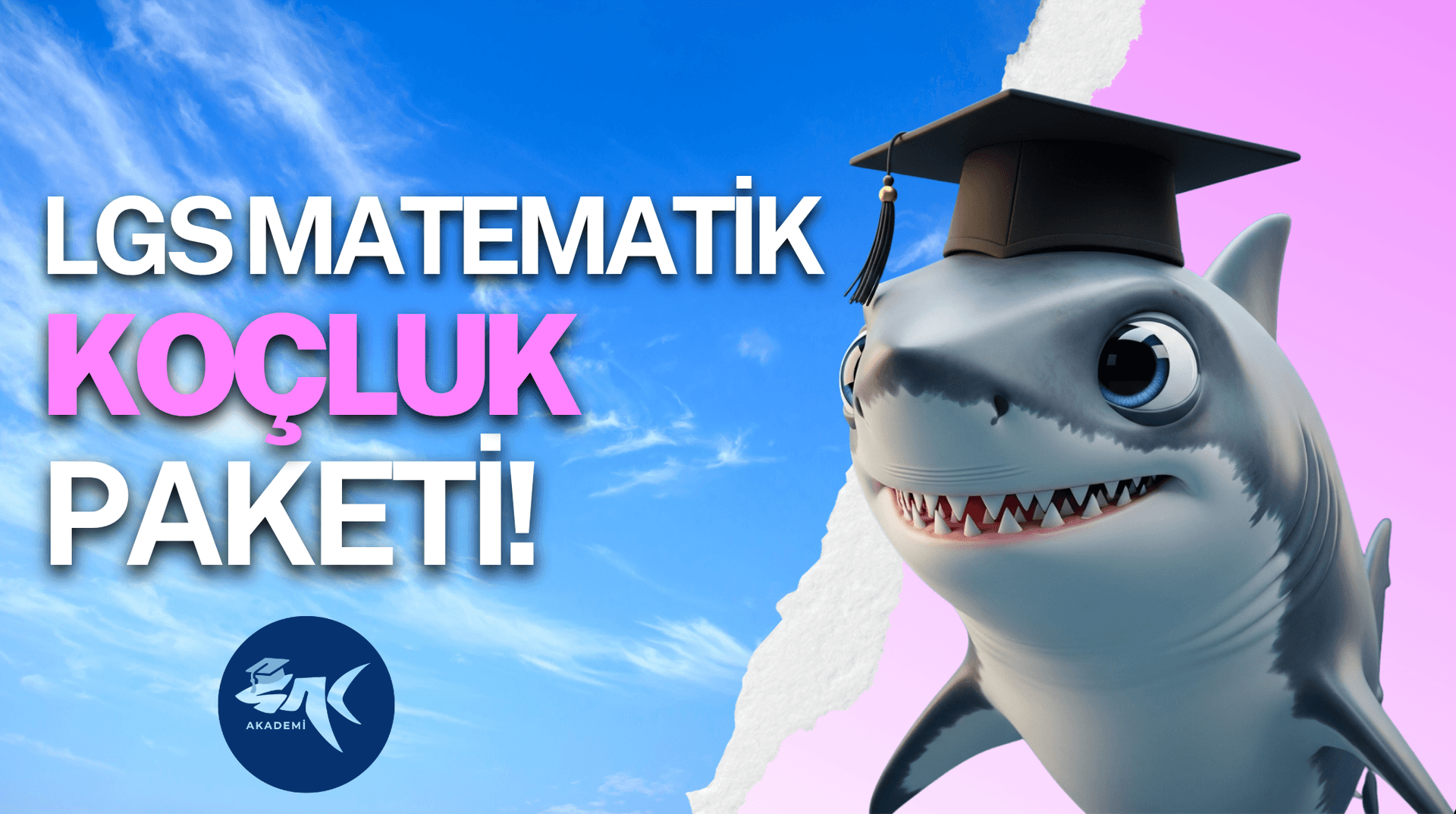 LGS Matematik Koçluk Paketi Banner