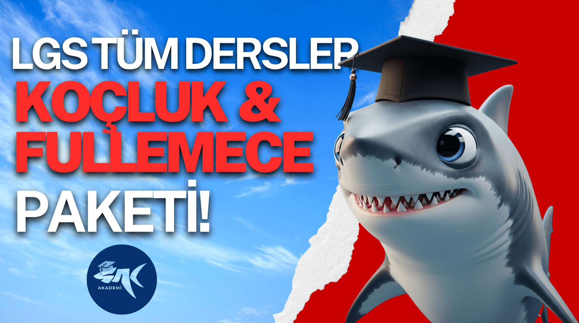 LGS Tüm Dersler Koçluk + Fullemece Paketi Banner